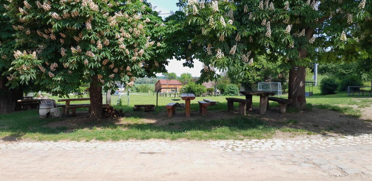 Ubytovani Na Sklepe U Prochazku Pouzdrany ภายนอก รูปภาพ