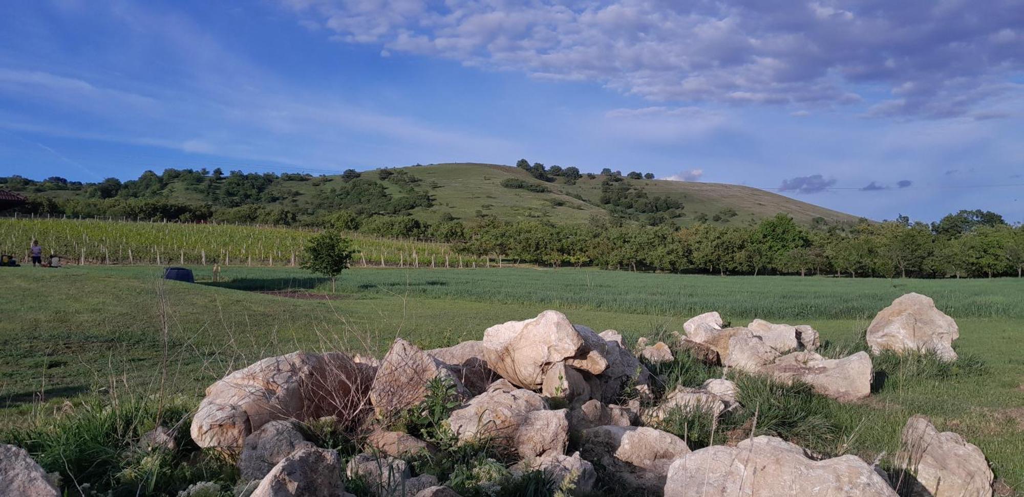 Ubytovani Na Sklepe U Prochazku Pouzdrany ห้อง รูปภาพ